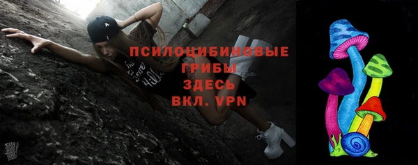трава Надым