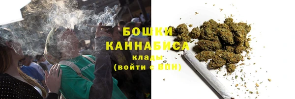 шишки Михайловск