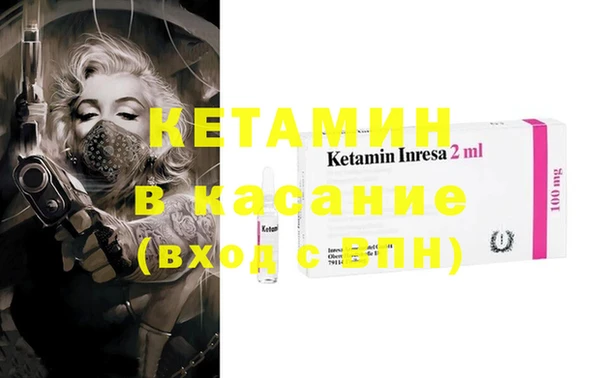 шишки Михайловск