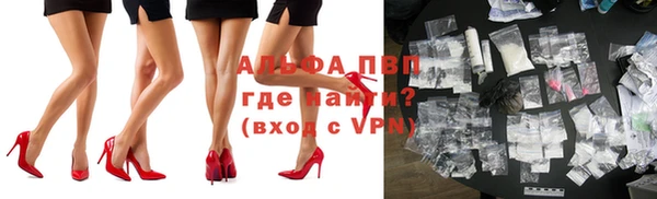 шишки Михайловск