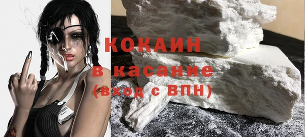 шишки Михайловск