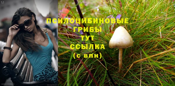 трава Надым