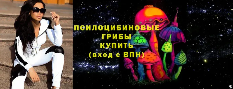 Галлюциногенные грибы Psilocybine cubensis  ссылка на мегу   Павлово 