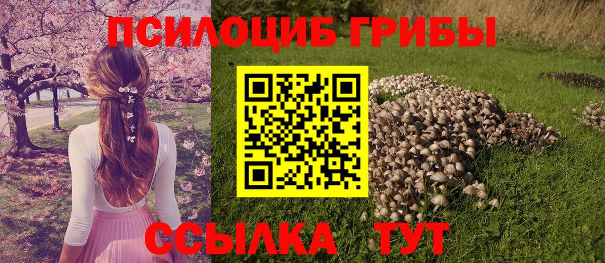 Галлюциногенные грибы MAGIC MUSHROOMS  Вход с VPN  Павлово 