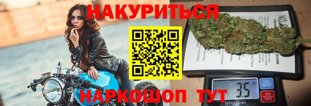 Бошки Шишки планчик Павлово